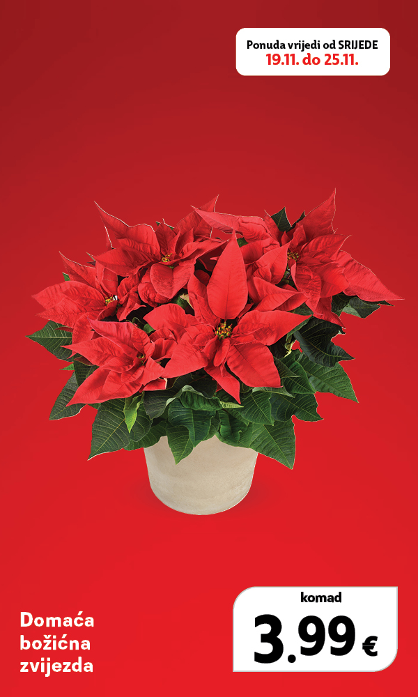 Proizvod - 18-11-2025-10-30-11